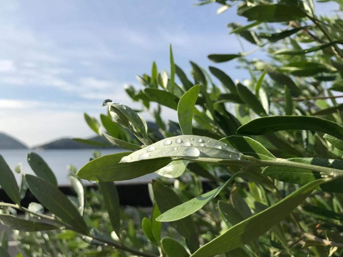 Shodoshima Olive Youth Hostel Exterior foto